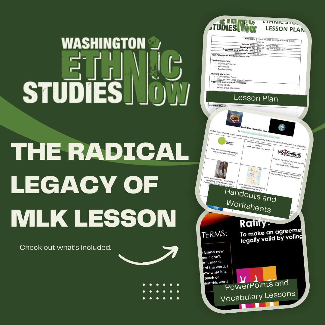 Lesson: The Radical Legacy of MLK