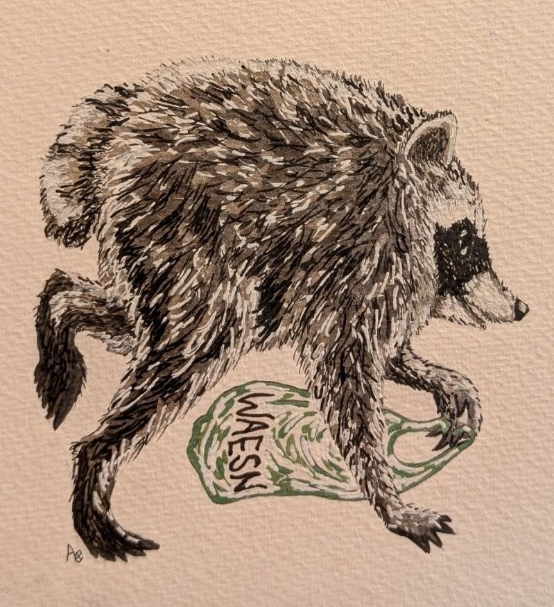 A raccoon carrying a green plastic bag labeled 'WAESN', depicted in an illustrative style.